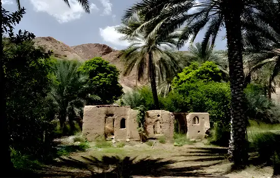 Exploring Oman's Abandoned Villages: A Journey Through Time 4 Abandoned Birkat al Mouz can be visited from nearby Nizwa