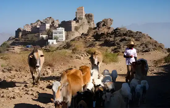 Exploring Oman's Abandoned Villages: A Journey Through Time 5 Al Ayn is one of Jebel Akhdars three abandoned villages