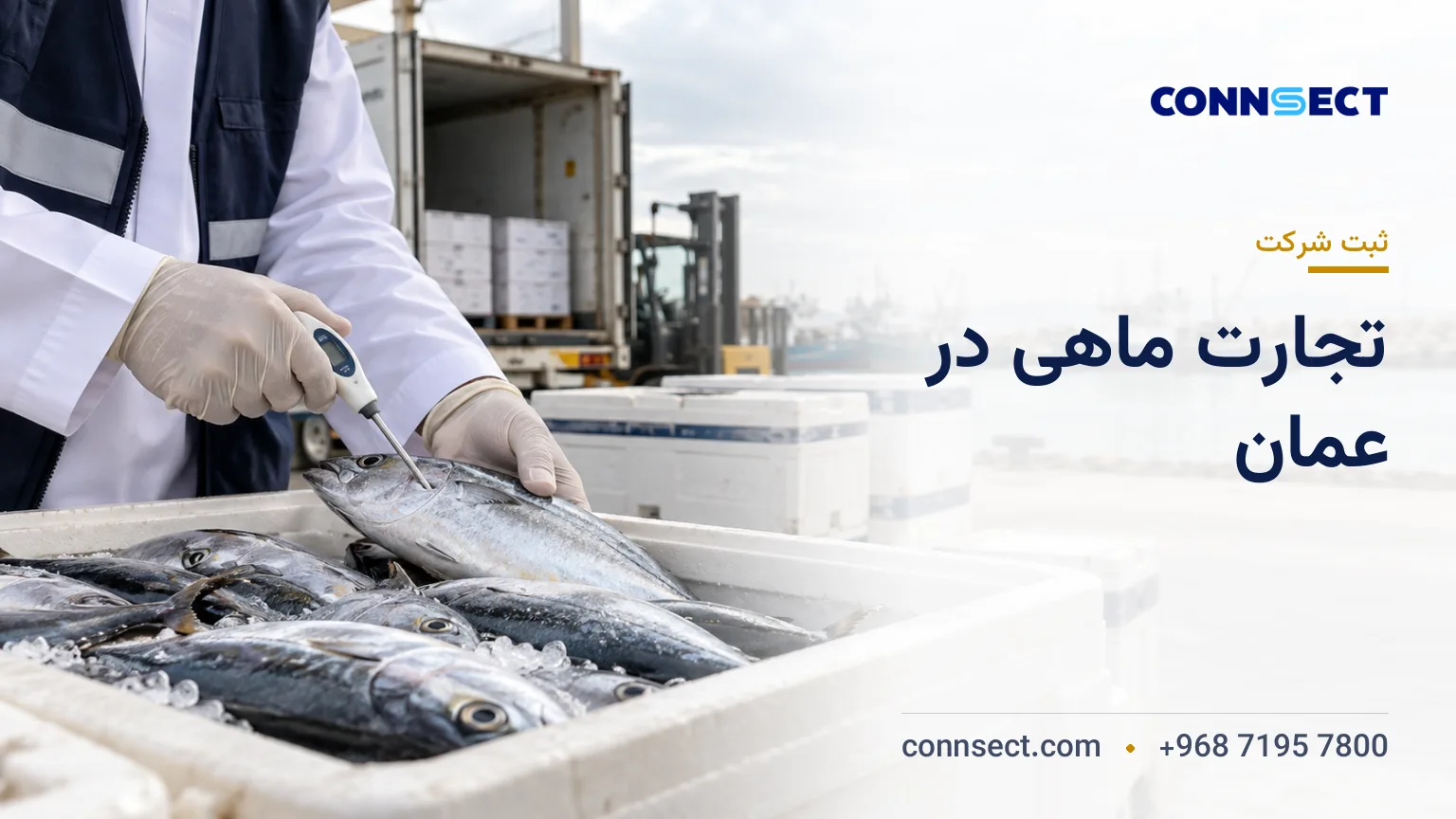 بازرسی کیفیت ماهی تازه در جعبه عایق در بندر تجاری عمان برای آماده سازی محموله صادراتی