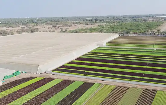 Progress in Oman’s Food Security Index